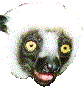 alt.fan.lemur's Lemurcon